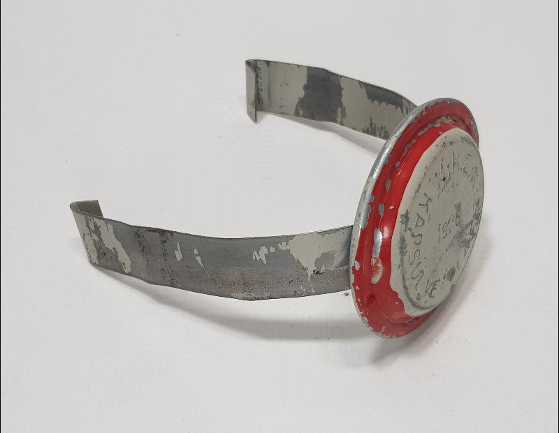 DEMİRYOLU TARİHİ: KESTANE FİŞEĞİ