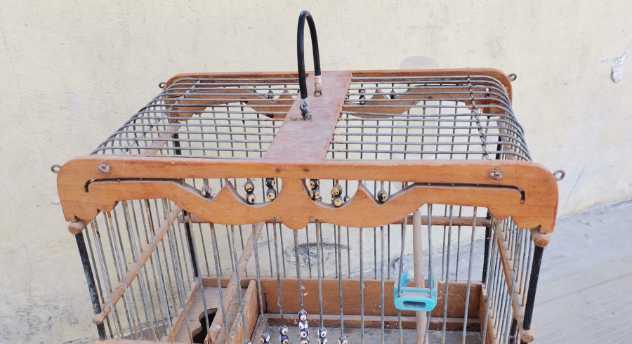 ANTİKA BÜLBÜL KAFESİ