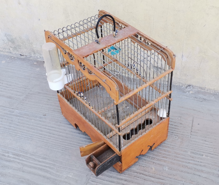 ANTİKA BÜLBÜL KAFESİ