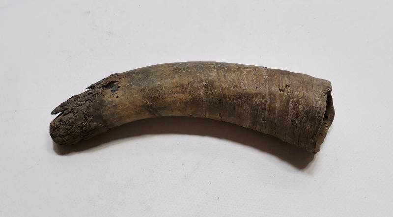 OSMANLI DÖNEMİ MANDA BOYNUZU KAĞNI TEKERLEĞİ YAĞDANLIĞI