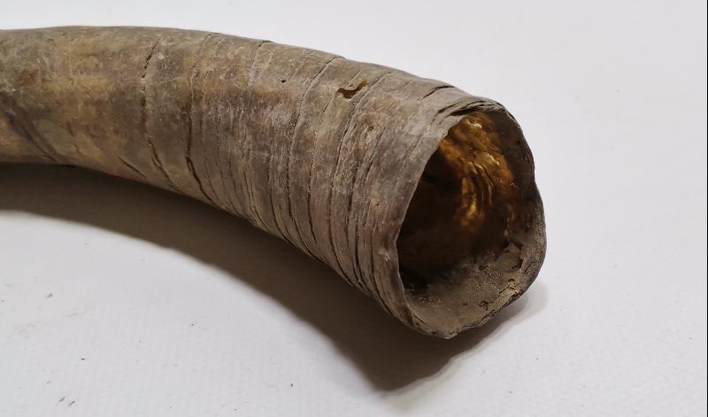 OSMANLI DÖNEMİ MANDA BOYNUZU KAĞNI TEKERLEĞİ YAĞDANLIĞI