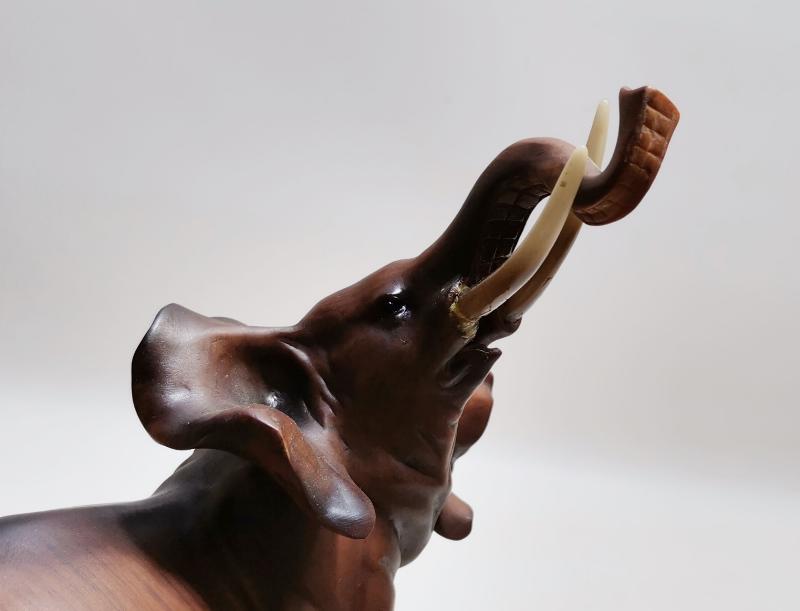 REÇİNE FİL BİBLOSU