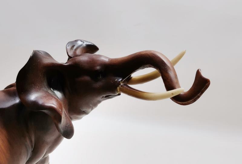 REÇİNE FİL BİBLOSU