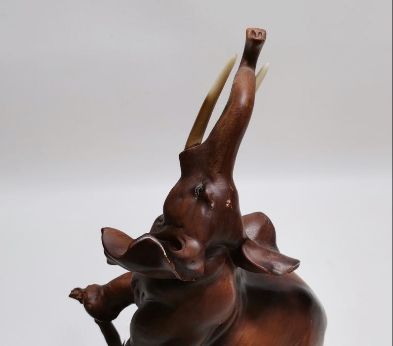 REÇİNE FİL BİBLOSU