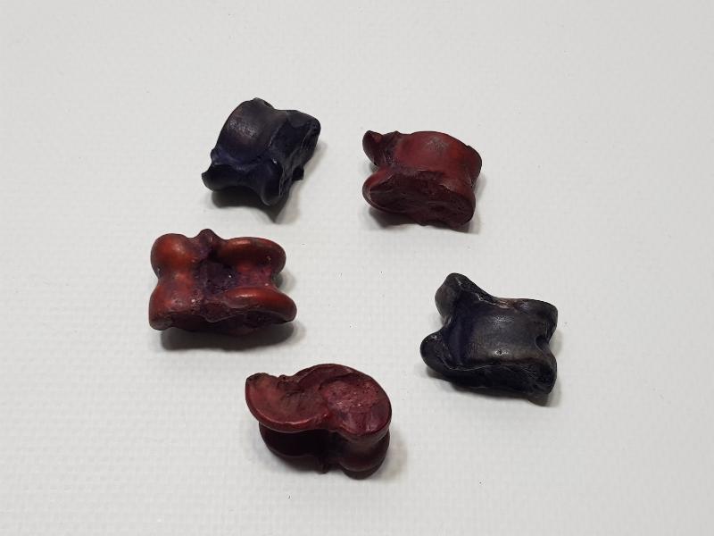 OSMANLI DÖNEMİ KÖK BOYALI KEMİK AŞIK ATMA OYUNU PARÇALARI