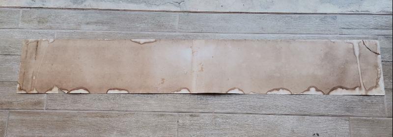 OSMANLI DÖNEMİ İSTANBUL PANORAMASI