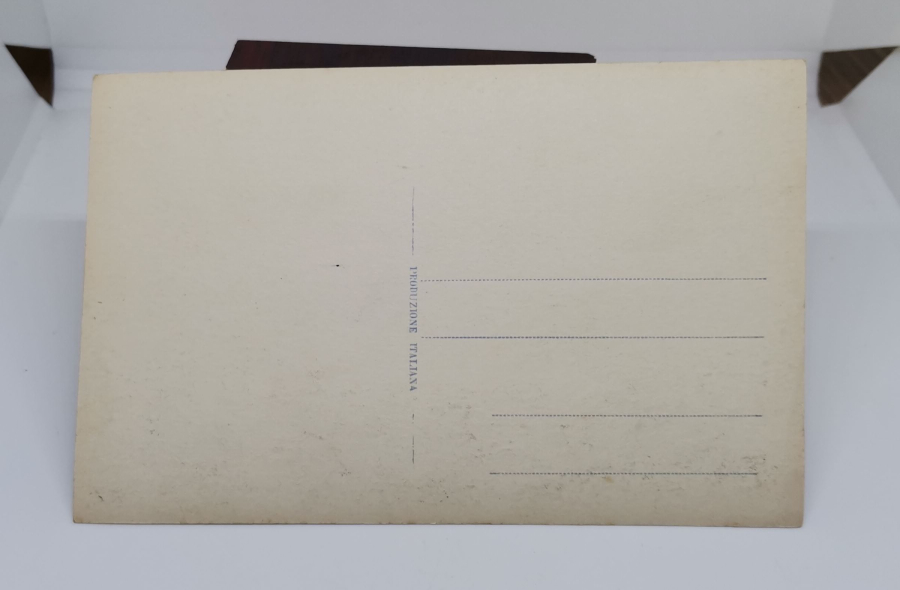 SULTAN AHMET VE HİPODROM MEYDANI GÖRSELLİ OSMANLI DÖNEMİ ÇİL KARTPOSTAL