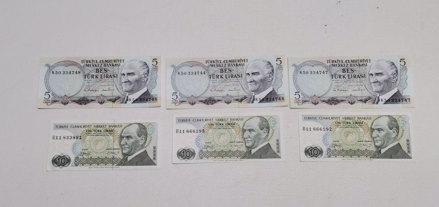 ANTİKA KAĞIT PARA LOTU