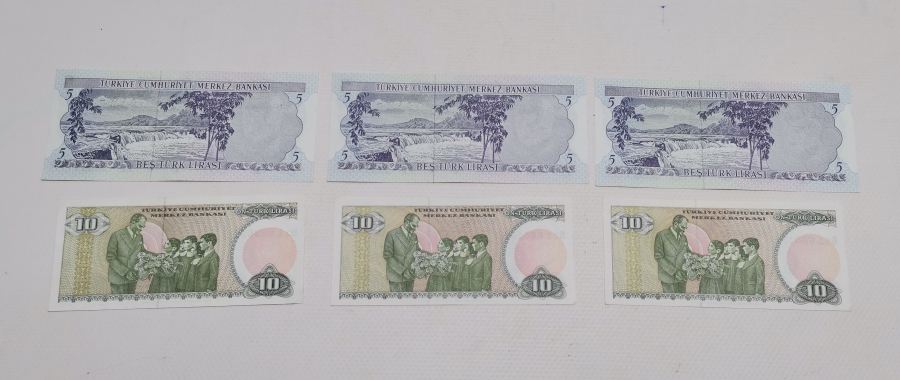 ANTİKA KAĞIT PARA LOTU