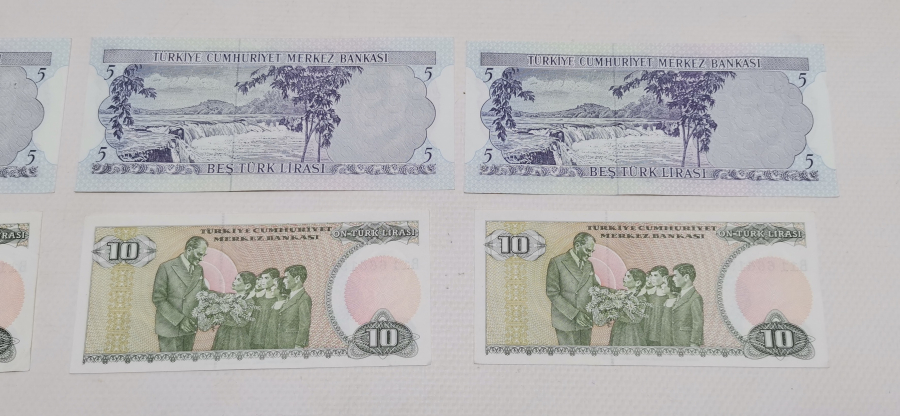 ANTİKA KAĞIT PARA LOTU