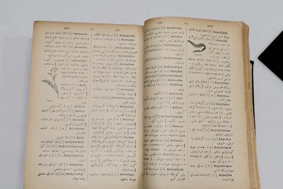 OSMANLI DÖNEMİ DEV BOYDA OSMANLICA FRANSIZCA SÖZLÜK