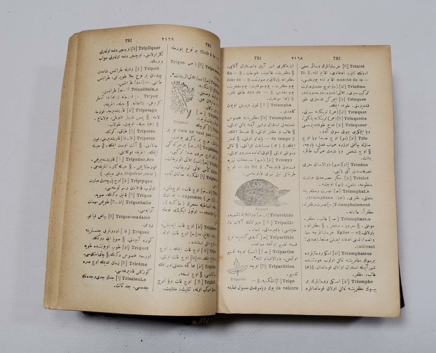 OSMANLI DÖNEMİ DEV BOYDA OSMANLICA FRANSIZCA SÖZLÜK