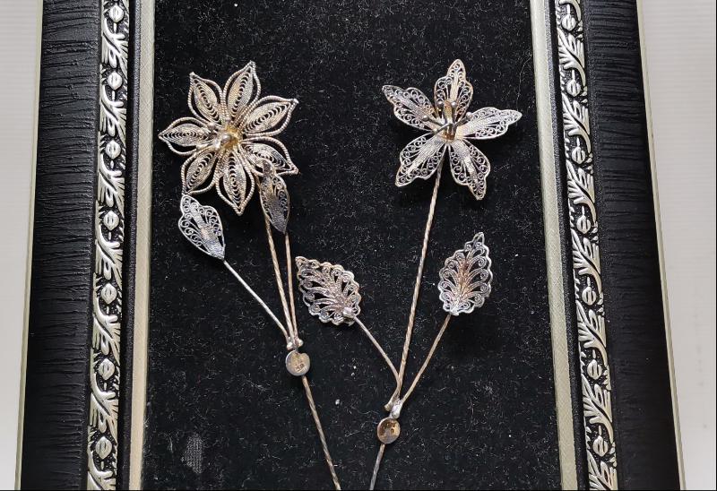 TELKARİ GÜMÜŞ GELİN ÇİÇEĞİ