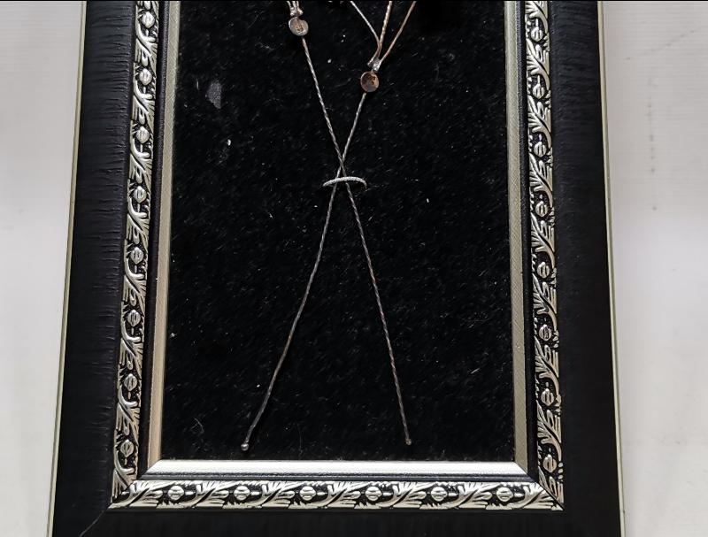 TELKARİ GÜMÜŞ GELİN ÇİÇEĞİ