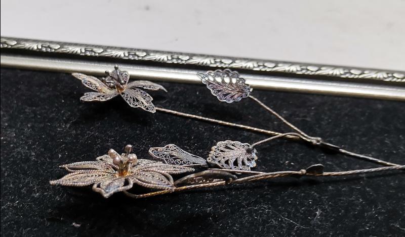 TELKARİ GÜMÜŞ GELİN ÇİÇEĞİ