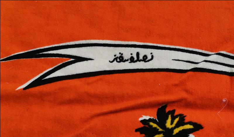 HAZRETİ ALİ RESİMLİ DUVAR HALISI