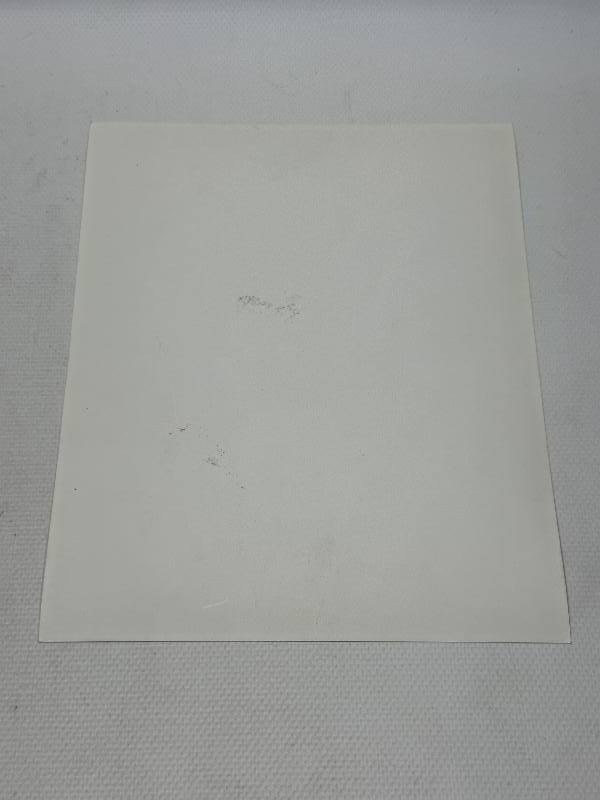 ATATÜRK, İRAN ŞAHI RIZA PEHLEVİ VE DEVLET ERKANI EŞLERİYLE ORJİNAL FOTOĞRAF