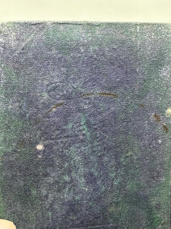 ÇANAKKALE SAVAŞI DÖNEMİ NADİR ASKERİ KİTAP: PİYADE TALİMNAMESİ 