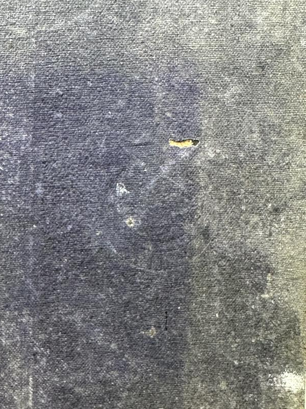 ÇANAKKALE SAVAŞI DÖNEMİ NADİR ASKERİ KİTAP: PİYADE TALİMNAMESİ 