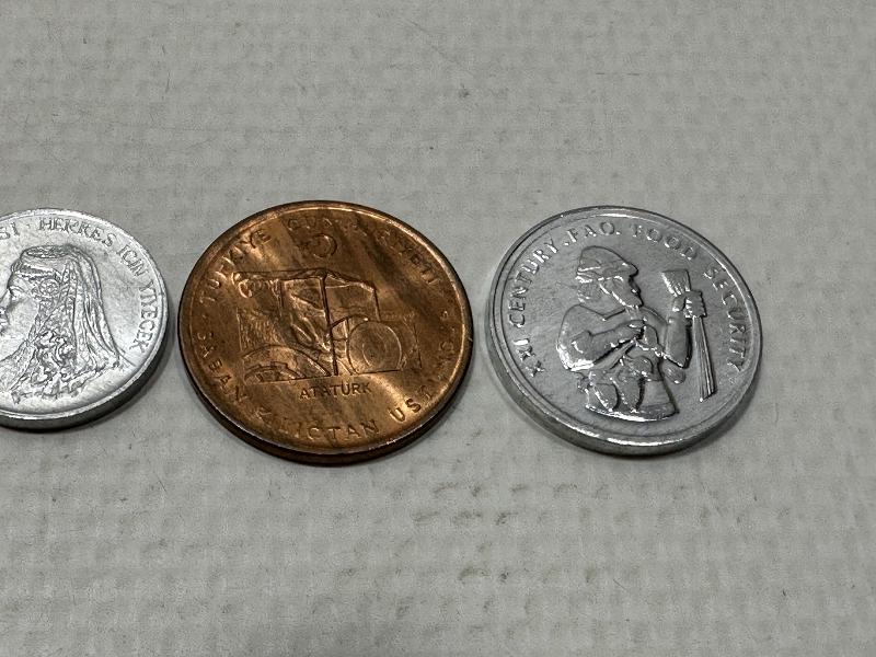 ÇİL HATIRA PARA LOTU