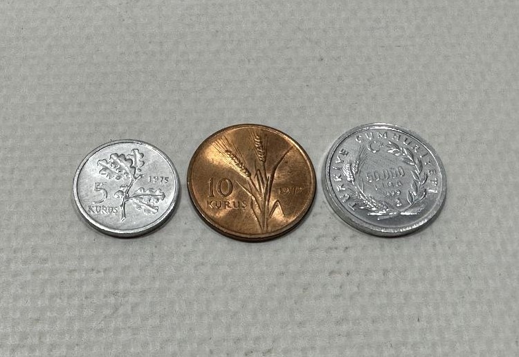 ÇİL HATIRA PARA LOTU