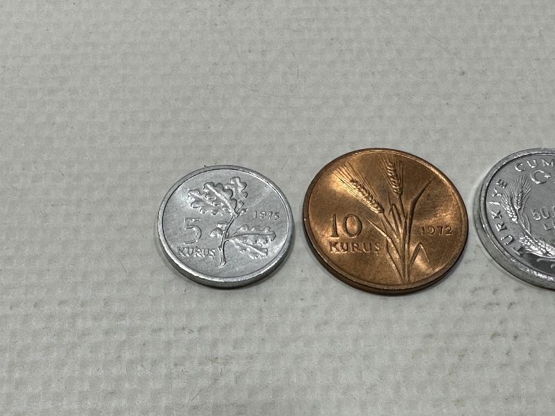 ÇİL HATIRA PARA LOTU