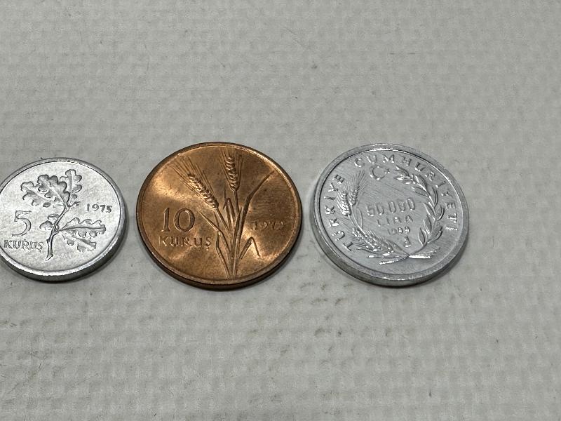 ÇİL HATIRA PARA LOTU