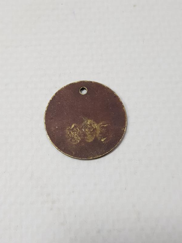 ANTİKA BEŞİKTAŞ BELEDİYESİ KÖPEK KÜNYESİ 