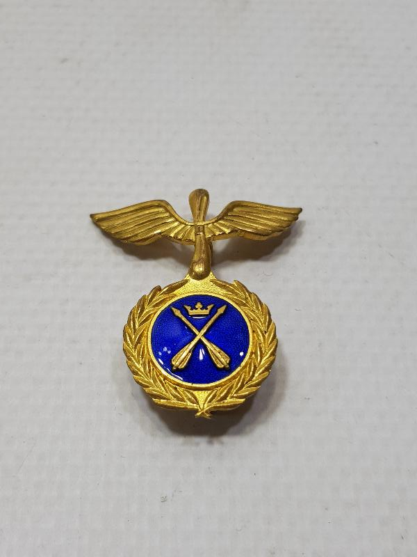 ALTIN KAPLAMA MİNELİ DART ROZETİ 