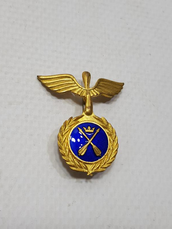 ALTIN KAPLAMA MİNELİ DART ROZETİ 