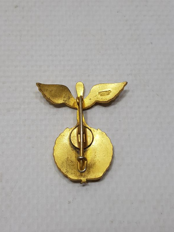 ALTIN KAPLAMA MİNELİ DART ROZETİ 