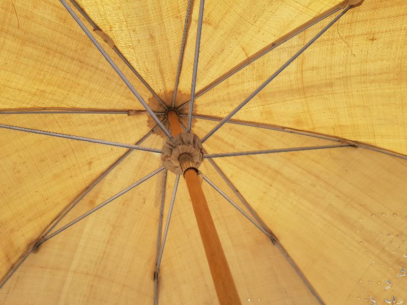 OSMANLI DÖNEMİ BAĞA SAPLI ŞEMSİYE 