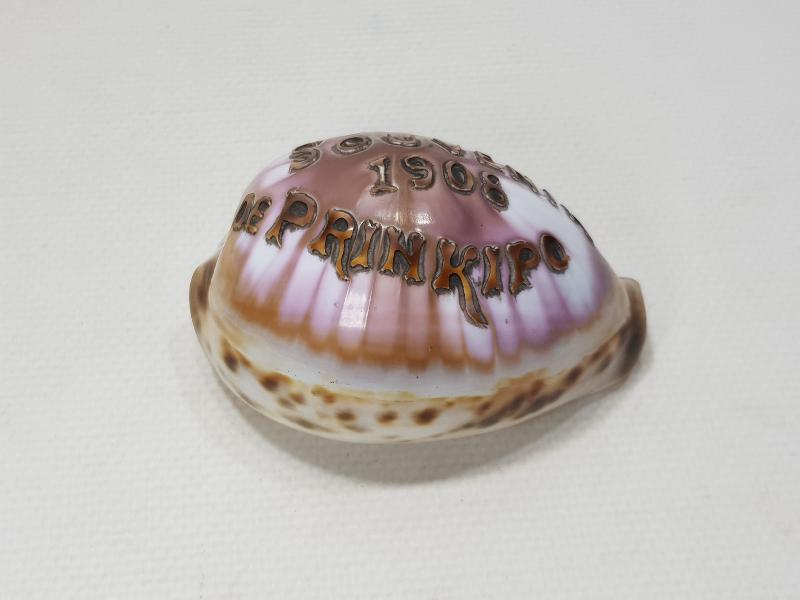 1908 SOUVENIR DE PRINKIPO - BÜYÜKADA HATIRASI YAZILI ÇOK NADİR DENİZ KABUĞU