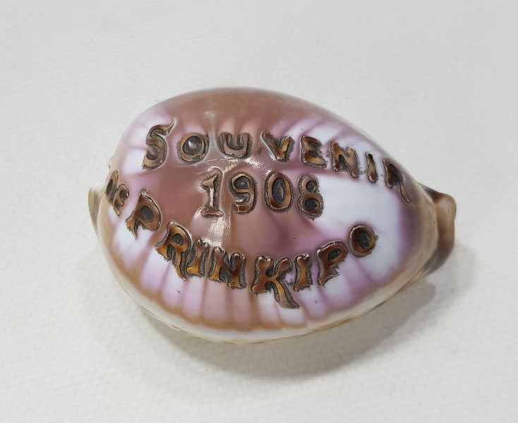 1908 SOUVENIR DE PRINKIPO - BÜYÜKADA HATIRASI YAZILI ÇOK NADİR DENİZ KABUĞU