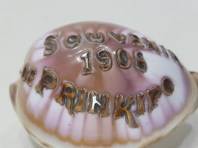 1908 SOUVENIR DE PRINKIPO - BÜYÜKADA HATIRASI YAZILI ÇOK NADİR DENİZ KABUĞU