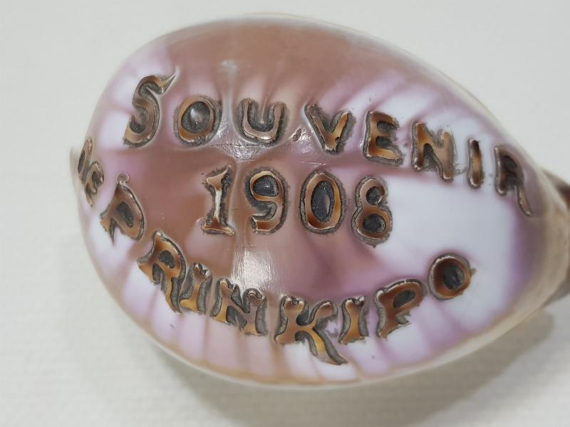 1908 SOUVENIR DE PRINKIPO - BÜYÜKADA HATIRASI YAZILI ÇOK NADİR DENİZ KABUĞU