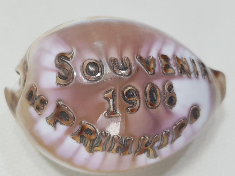 1908 SOUVENIR DE PRINKIPO - BÜYÜKADA HATIRASI YAZILI ÇOK NADİR DENİZ KABUĞU