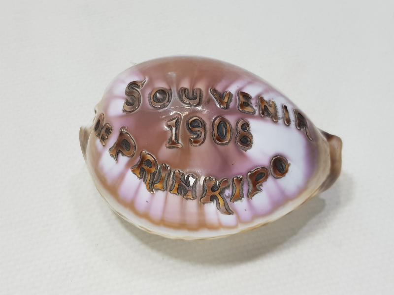 1908 SOUVENIR DE PRINKIPO - BÜYÜKADA HATIRASI YAZILI ÇOK NADİR DENİZ KABUĞU