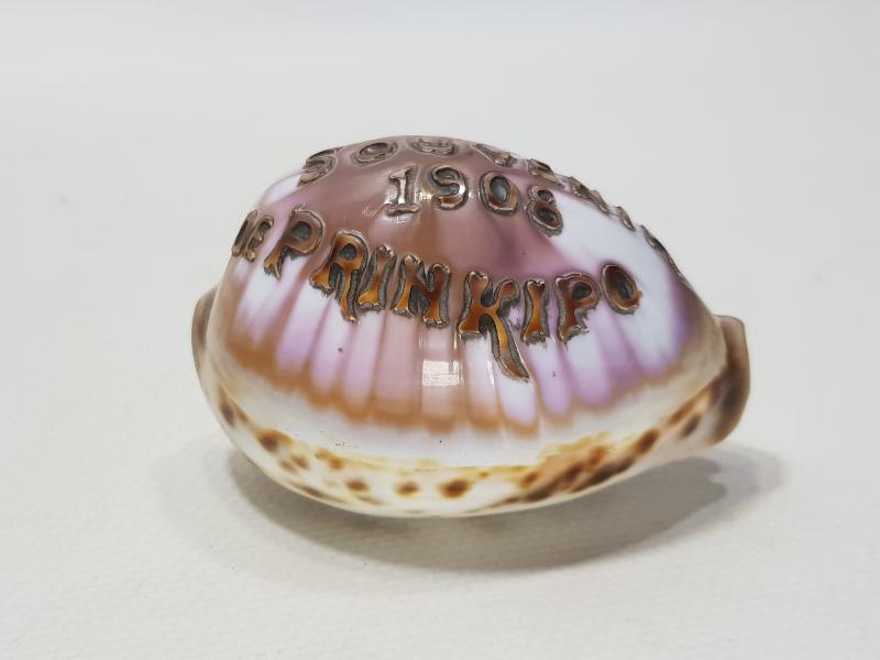 1908 SOUVENIR DE PRINKIPO - BÜYÜKADA HATIRASI YAZILI ÇOK NADİR DENİZ KABUĞU