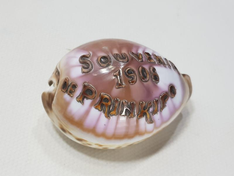 1908 SOUVENIR DE PRINKIPO - BÜYÜKADA HATIRASI YAZILI ÇOK NADİR DENİZ KABUĞU