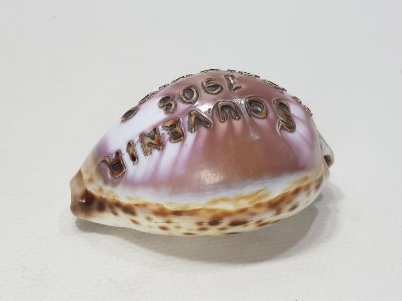 1908 SOUVENIR DE PRINKIPO - BÜYÜKADA HATIRASI YAZILI ÇOK NADİR DENİZ KABUĞU