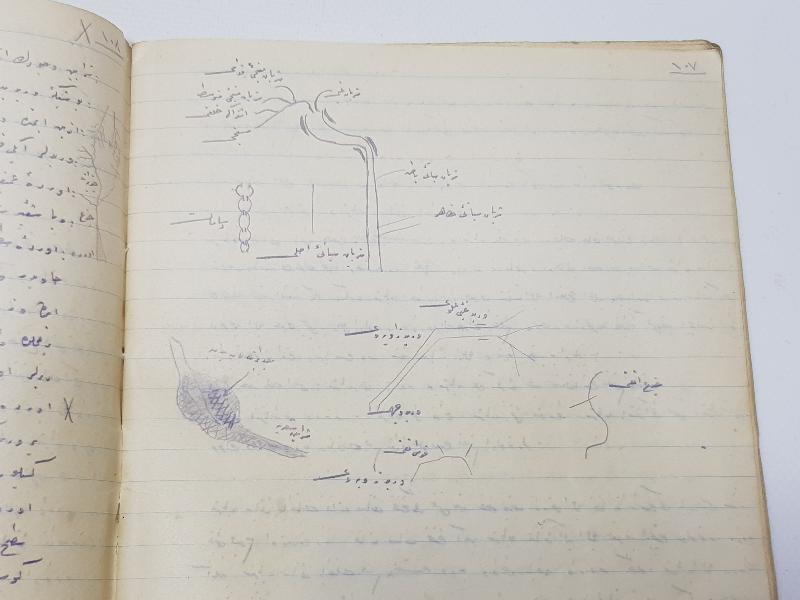 TIP TARİHİ: OSMANLICA EL YAZMA DERS NOTLARI 