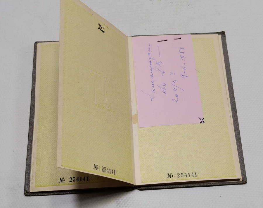 ANTİKA  AKTİF KULLANILMIŞ PASAPORT