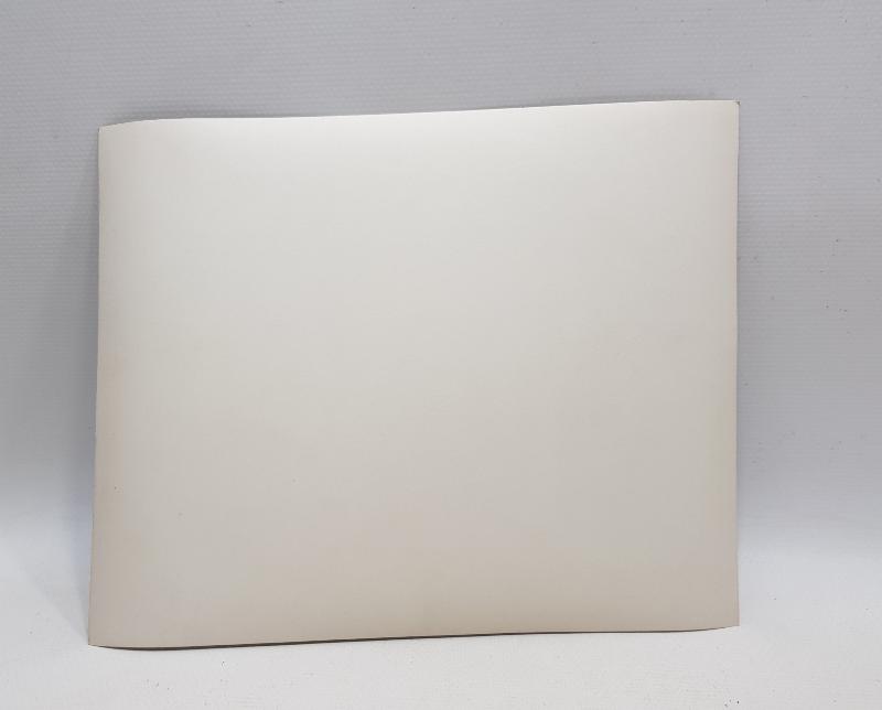 MUSTAFA KEMAL ATATÜRK VE DEVLET ERKANI MECLİS ÖNÜNDE FOTOĞRAF