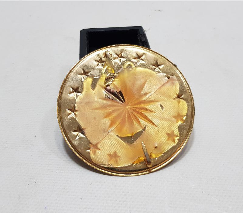 ALTIN KAPLAMA CUMHURBAŞKANLIĞI FORSU