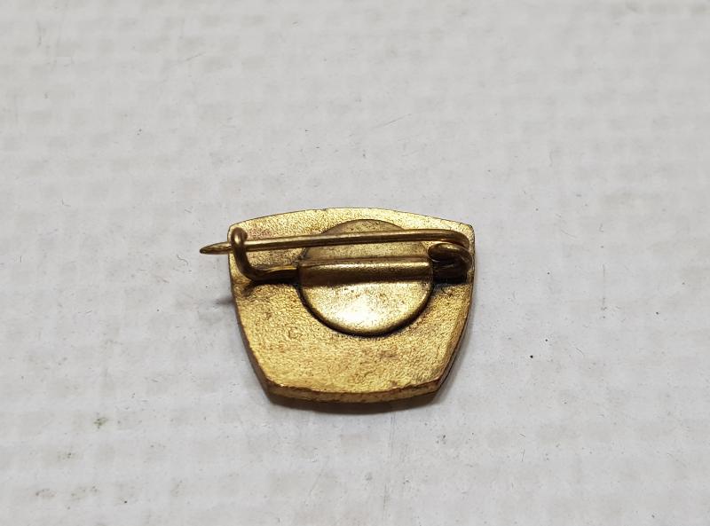 AYŞE YALÇIN SAĞLIK TESİSLERİ KIZILAY MİNELİ ROZET 