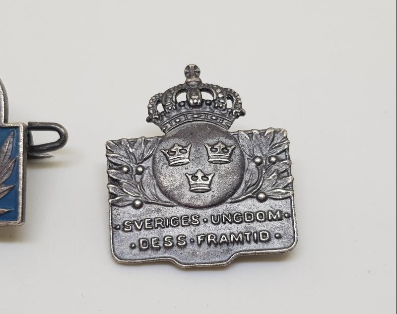 İKİ ADET YABANCI ROZET