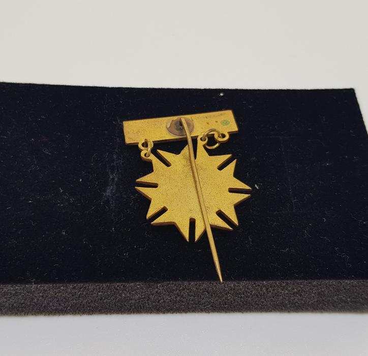 TÜRKİYE KIZILAY DERNEĞİ İNSANLIK HİZMETİNDE MİNELİ NİŞAN ROZET