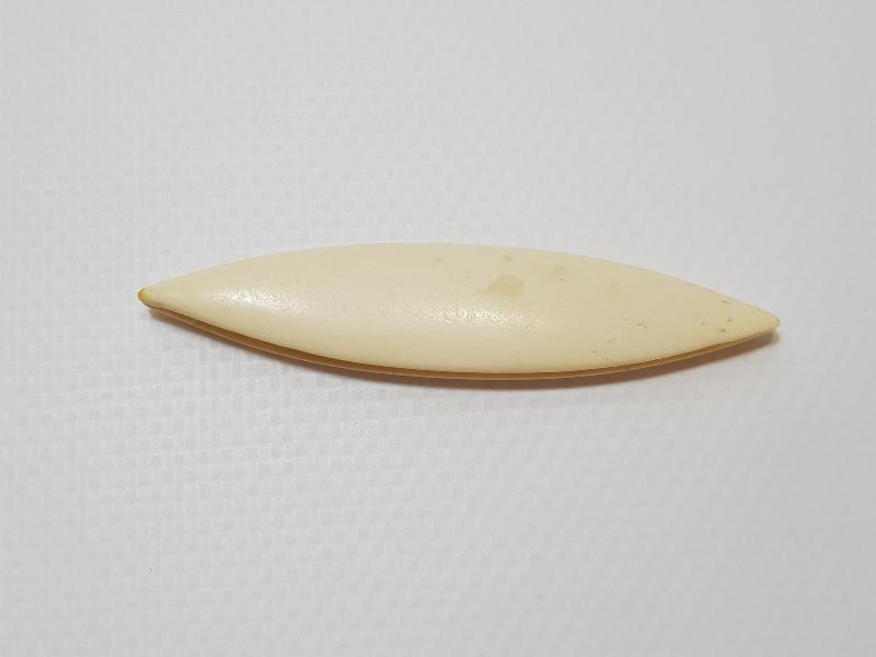 OSMANLI DÖNEMİ KEMİK TERZİ MEKİĞİ 