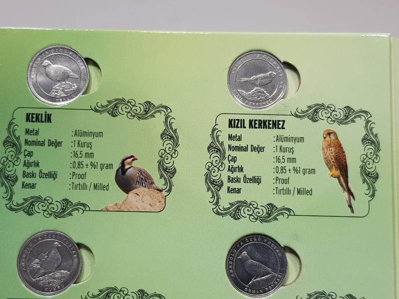 2020 ANADOLU'YA ÖZGÜ KUŞLAR HATIRA PARA SETİ